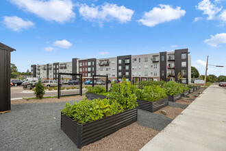 The Hillock in Minneapolis, MN - Foto de edificio - Building Photo