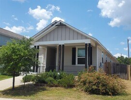 217 Michaelis Dr in Leander, TX - Building Photo