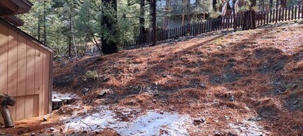 1521 Lassen Way in Pine Mountain Club, CA - Building Photo - Building Photo