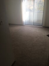 1711 Apelles Cir in Lafayette, CO - Building Photo - Building Photo