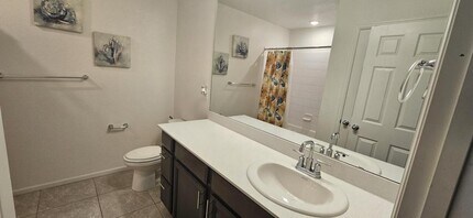 17517 Booth Fls Wy in Parker, CO - Building Photo - Building Photo