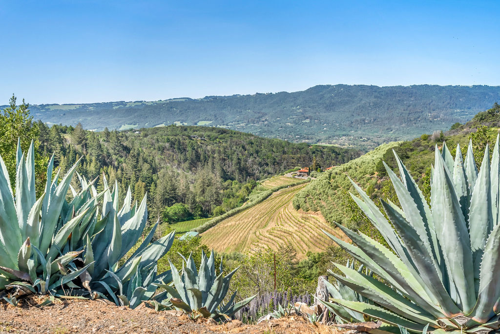 Moon Mountain Farm in Sonoma, CA - Building Photo