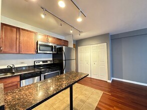 4180 N Marine Dr, Unit 3031 in Chicago, IL - Building Photo - Building Photo