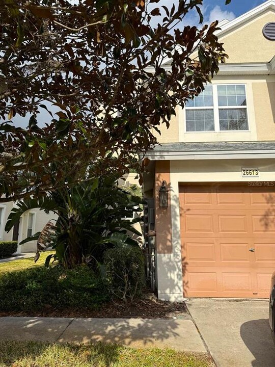 26613 Castleview Way in Wesley Chapel, FL - Building Photo