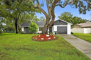 8137 English Elm Cir in Spring Hill, FL - Building Photo