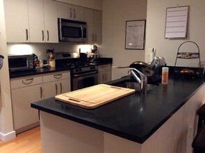 609 Albany St, Unit 206 in Boston, MA - Building Photo - Building Photo