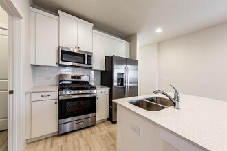 401 White Steppe Way in Georgetown, TX - Building Photo - Building Photo
