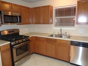 19702 Byron Meadows Dr in Katy, TX - Building Photo - Building Photo