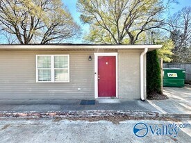 3807 Mc Vay St SW in Huntsville, AL - Building Photo