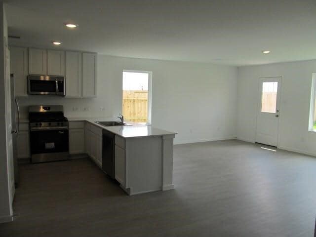 property at 5203 Lake Trout Ln