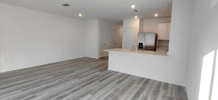 31268 Paper Birch St in Wesley Chapel, FL - Foto de edificio - Building Photo