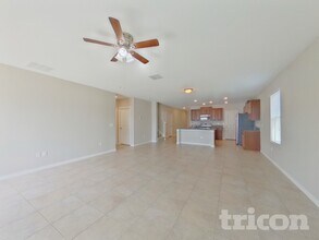 10411 Fairy Moss Ln in Riverview, FL - Building Photo - Building Photo