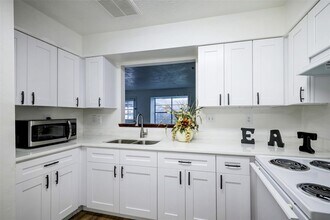 15251 Buckle Ln in Houston, TX - Building Photo - Building Photo