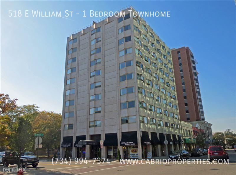 518 E William St-Unit -1 Bedroom Townhome in Ann Arbor, MI - Building Photo