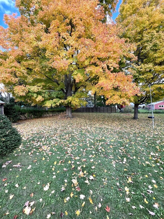 5 Joy St in Cortland, NY - Building Photo - Building Photo