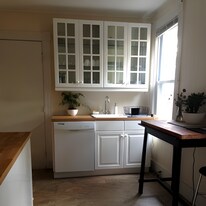 41 Willard St, Unit 41 Willard | Westville in New Haven, CT - Building Photo