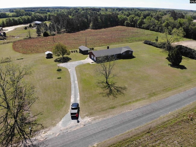 137 Horses Neck Rd in Swansea, SC - Building Photo - Building Photo