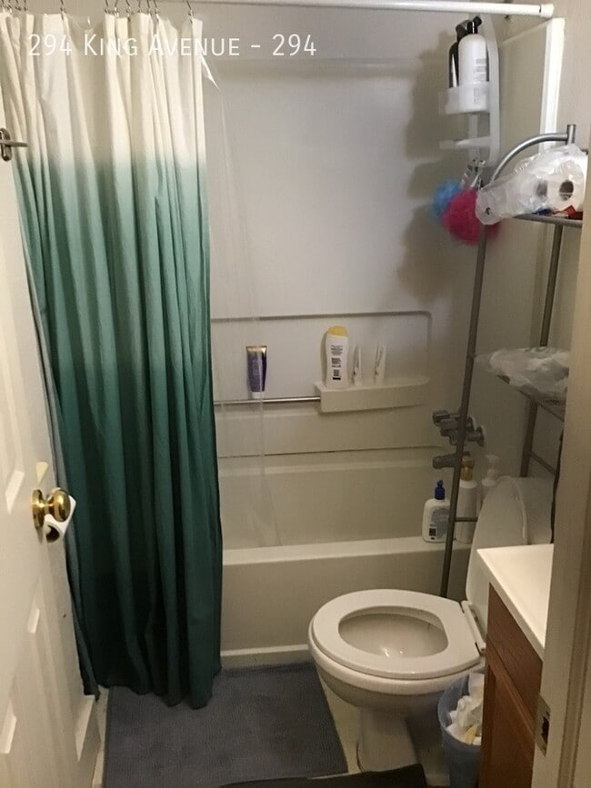 294 King Ave in Columbus, OH - Building Photo - Building Photo