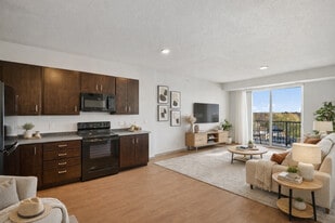 Lake Street Dwelling in Minneapolis, MN - Building Photo