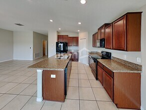 10116 Carloway Hills Dr in Wimauma, FL - Building Photo - Building Photo