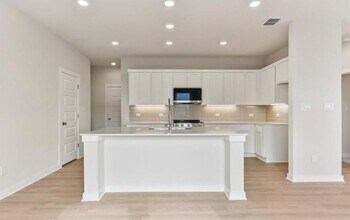 1217 Lavender Wy in Georgetown, TX - Building Photo - Building Photo