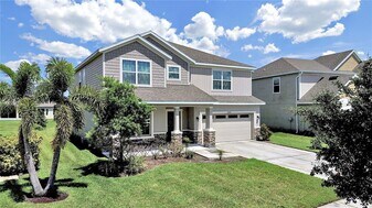 8307 Olive Brook Dr in Wesley Chapel, FL - Building Photo