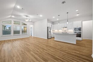 117 Switch Bud Dr in Buda, TX - Building Photo