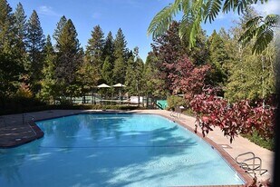 504 Dogwood Dr in Murphys, CA - Building Photo