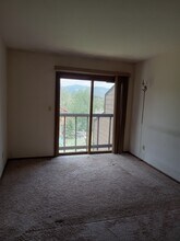 252 Poplar Cir in Silverthorne, CO - Foto de edificio - Building Photo