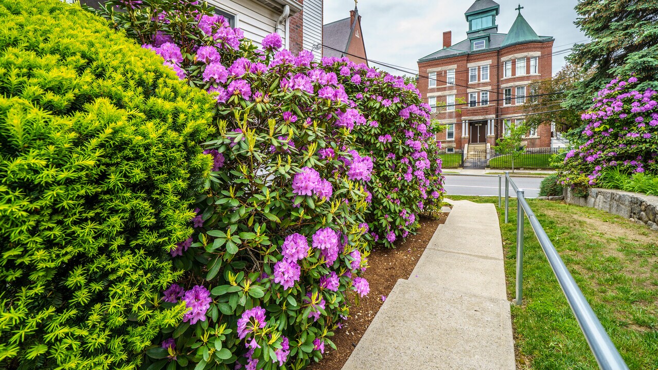 298 Adams St, Unit 298 in Newton, MA - Foto de edificio