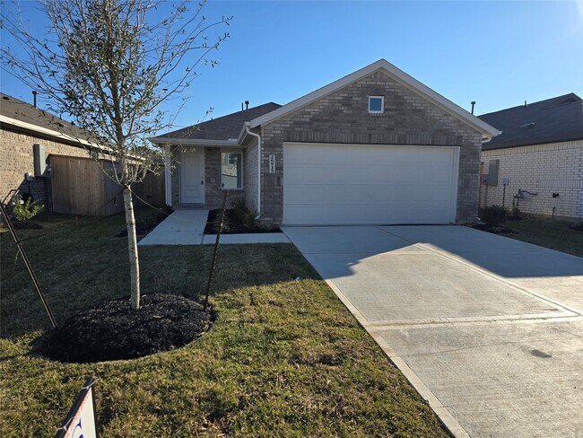26915 Dalmatian Bellflower Dr in Katy, TX - Building Photo - Building Photo