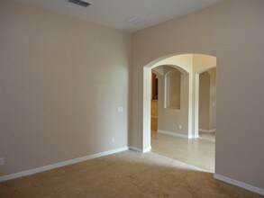 5402 Coral Shell Way in Apollo Beach, FL - Building Photo - Building Photo