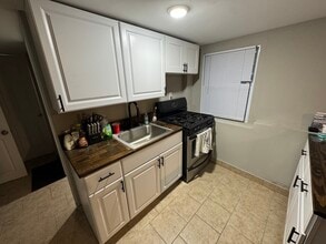 4601 N Kasson Ave, Unit 1 in Chicago, IL - Building Photo - Building Photo