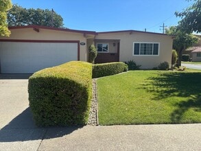 297 Juniper St in Vacaville, CA - Building Photo - Building Photo