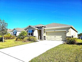 3908 Mossy Limb Ct in Palmetto, FL - Building Photo