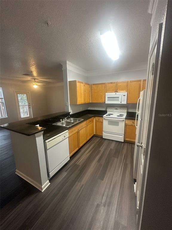 19935 Villa Isle Dr in Orlando, FL - Building Photo - Building Photo