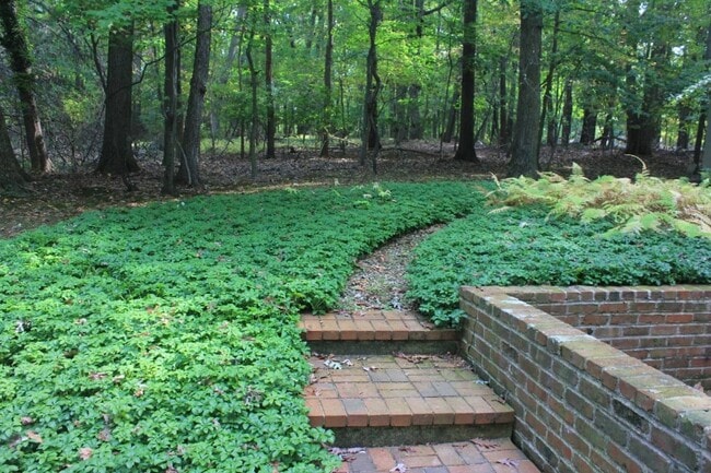 734 Trephanny Ln in Wayne, PA - Foto de edificio - Building Photo