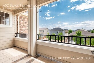 452 Black Feather Loop in Castle Rock, CO - Building Photo - Building Photo