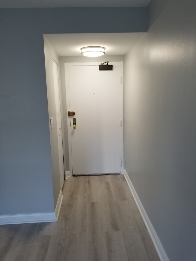 33 E Cedar St, Unit 8H in Chicago, IL - Foto de edificio - Building Photo