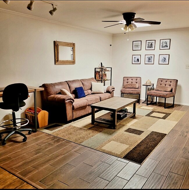 1719 Brazo Cir in Palm Valley, TX - Building Photo - Building Photo