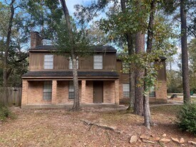 11016 Meadow Rue St in Spring, TX - Building Photo