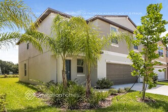 11234 Riley Pines Cir in Gibsonton, FL - Foto de edificio - Building Photo