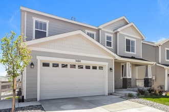 3480 Cade Ct in Castle Rock, CO - Building Photo - Building Photo