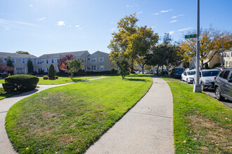 71-36 Rd in Bellerose, NY - Foto de edificio - Building Photo