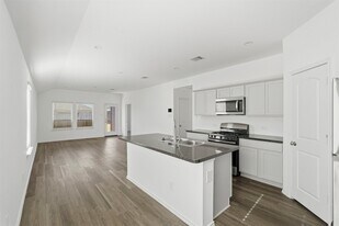 5215 Mossdale Blf Ln in Spring, TX - Building Photo