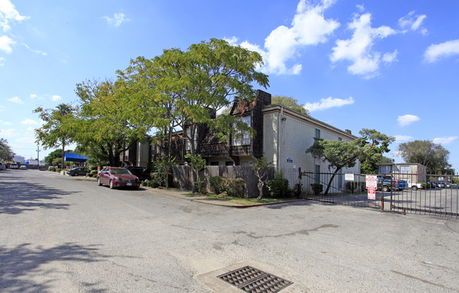 Alexander House Apartments in Houston, TX - Building Photo - Building Photo