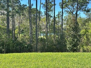 18386 Oliver Twist Wy in Winter Garden, FL - Building Photo - Building Photo