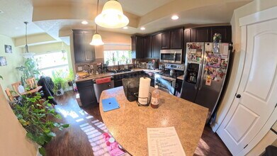 5021 Brookfield Dr in Fort Collins, CO - Building Photo - Building Photo