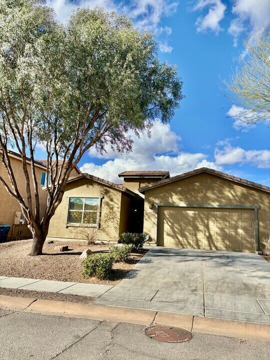 1147 E Empire Canyon in Sahuarita, AZ - Building Photo