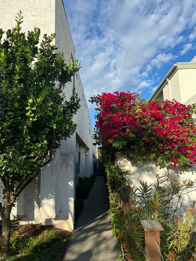 1227 24th St, Unit D in Santa Monica, CA - Building Photo - Building Photo